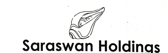 Saraswan Holdings